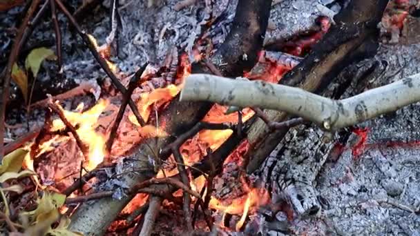 火焰和篝火作为自然灾害 — 图库视频影像