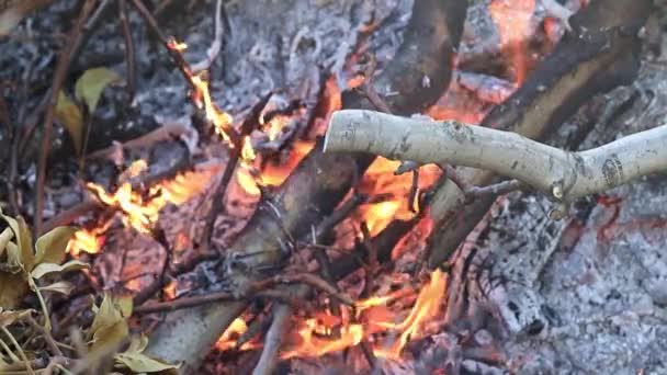 Vlammen Brand Vreugdevuur Als Een Natuurramp — Stockvideo