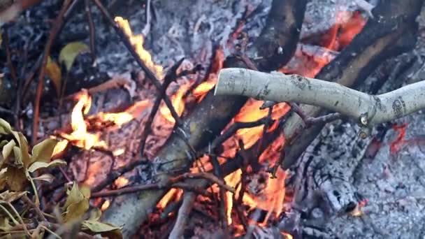 Vlammen Brand Vreugdevuur Als Een Natuurramp — Stockvideo
