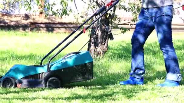 専門の芝刈機で緑の草を刈る — ストック動画