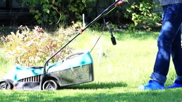 Özel Bir Çim Biçme Makinesi Ile Yeşil Çim Biçme — Stok video