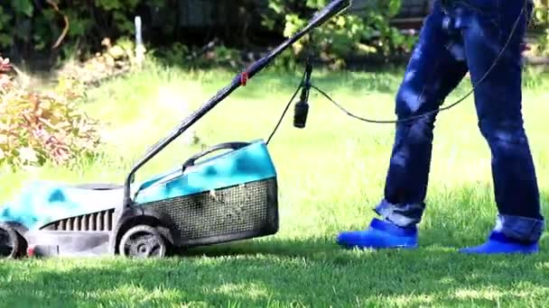 Cortar Grama Verde Com Cortador Grama Especializado — Vídeo de Stock