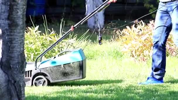 Tondre Herbe Verte Avec Une Tondeuse Spécialisée — Video