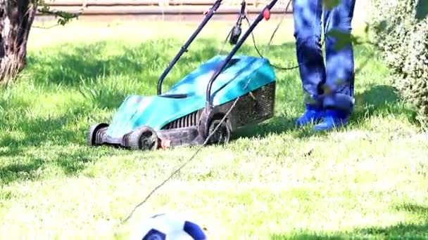 専門の芝刈機で緑の草を刈る — ストック動画