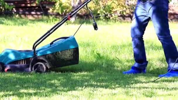 Mowing Green Grass Specialized Lawn Mower — Stock Video