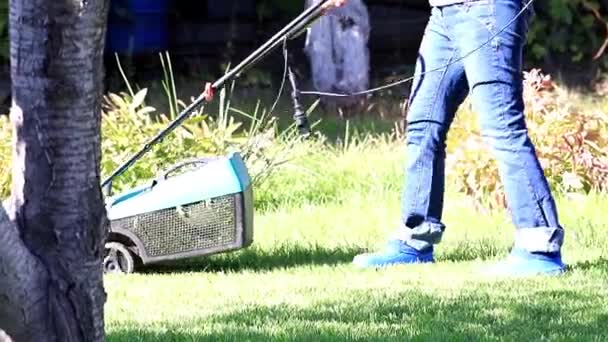 Maaien Van Gras Met Een Gespecialiseerde Grasmaaier — Stockvideo