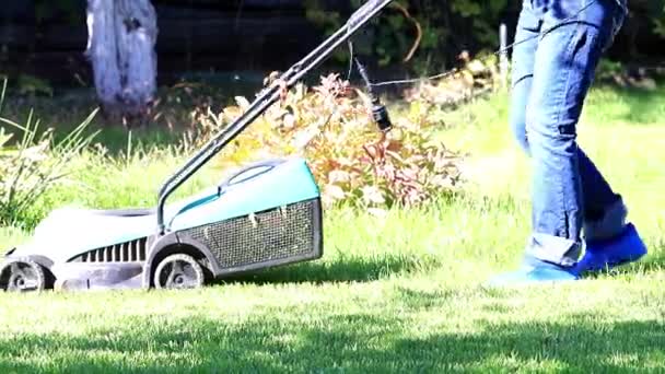 Tondre Herbe Verte Avec Une Tondeuse Spécialisée — Video