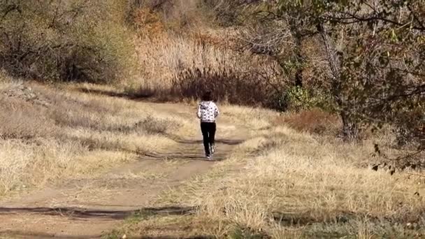 Junge Frau Joggt Auf Der Herbstlichen Waldstraße — Stockvideo