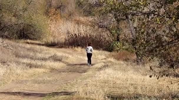 Jonge Vrouw Onder Herfst Bos Weg Joggen — Stockvideo