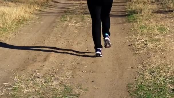 Jovem Mulher Correndo Entre Estrada Floresta Outono — Vídeo de Stock