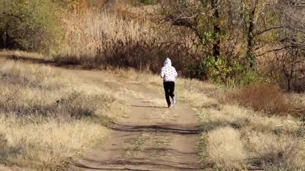 Junge Frau Joggt Auf Der Herbstlichen Waldstraße — Stockvideo