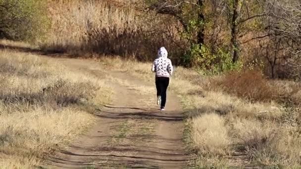 Giovane Donna Che Corre Tra Strada Forestale Autunnale — Video Stock