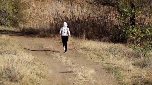 Giovane Donna Che Corre Tra Strada Forestale Autunnale — Video Stock