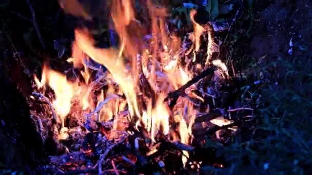 불길과 천재지변으로 모닥불 — 비디오