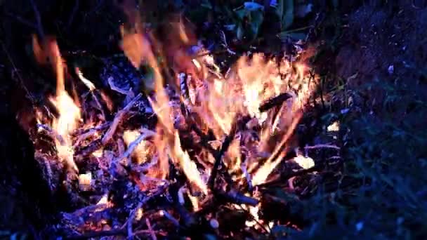 Alevler Yangın Şenlik Bir Doğal Afet Olarak — Stok video