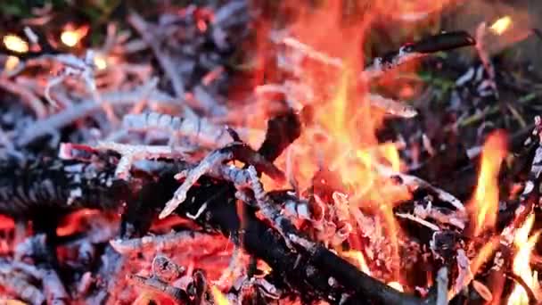 Llamas Hogueras Fuego Como Desastre Natural — Vídeo de stock