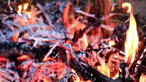 Flammen Und Lagerfeuer Als Naturkatastrophe — Stockvideo