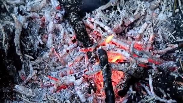 Fiamme Fuoco Falò Come Disastro Naturale — Video Stock