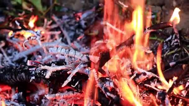 Láng Tűz Máglya Mint Természeti Katasztrófa — Stock videók