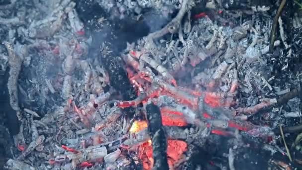 flammes et feu de joie comme une catastrophe naturelle 