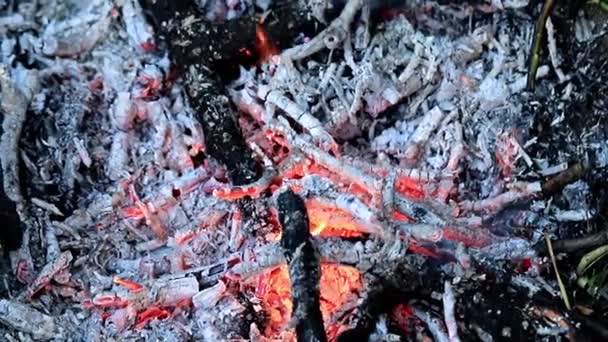 Vlammen Brand Vreugdevuur Als Een Natuurramp — Stockvideo