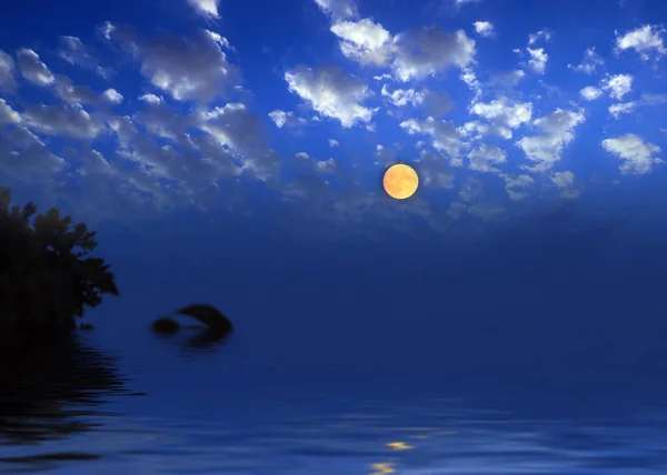 sea surface and night sky with full moon