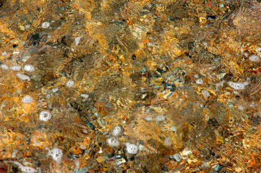 açık deniz suyu ve güzel kum sahiller kıyı şeridi