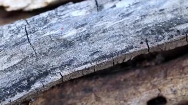 doku yüzeyi eski ahşap kirişler yanmış