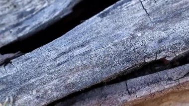 doku yüzeyi eski ahşap kirişler yanmış