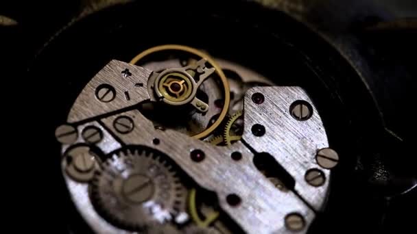 時間の流れの象徴として振り子時計の一定の動き — ストック動画