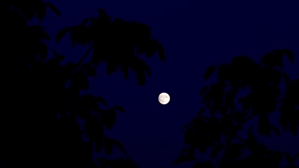 lumière vive de la pleine lune dans l'obscurité de la nuit 