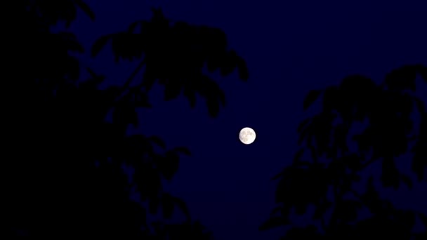 lumière vive de la pleine lune dans l'obscurité de la nuit 