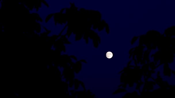 Luz Brilhante Lua Cheia Escuro Noite — Vídeo de Stock