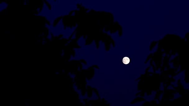 夜の暗闇の中で満月の明るい光 — ストック動画