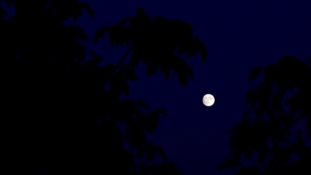 lumière vive de la pleine lune dans l'obscurité de la nuit 