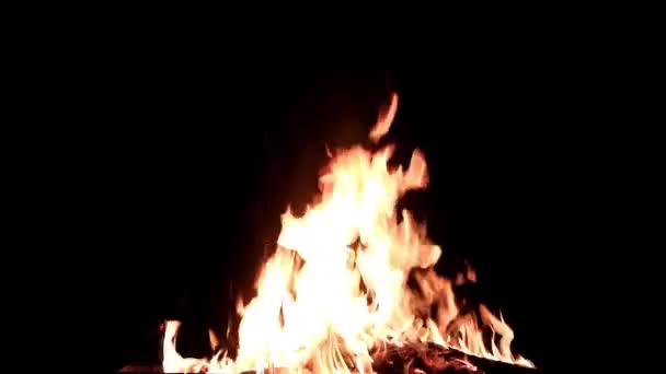 Bright Flame Open Fire Dark Night — Stock Video