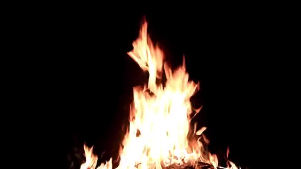 Bright Flame Open Fire Dark Night — Stock Video