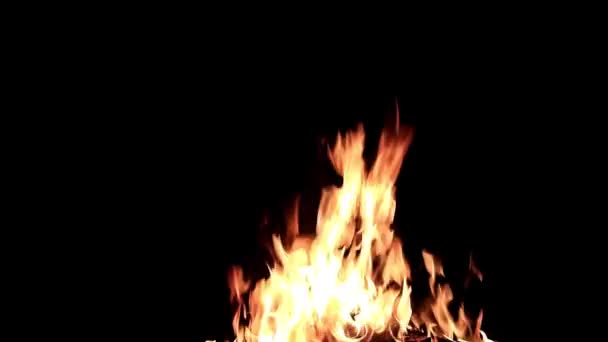 Flamme Vive Feu Ouvert Dans Obscurité Nuit — Video