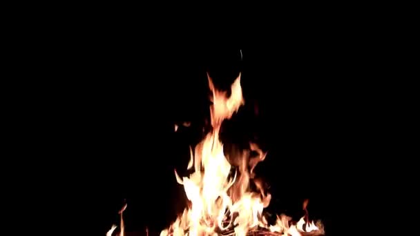 Helle Flamme Des Offenen Feuers Der Dunkelheit Der Nacht — Stockvideo