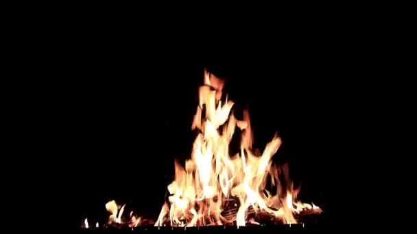 Flamme Vive Feu Ouvert Dans Obscurité Nuit — Video