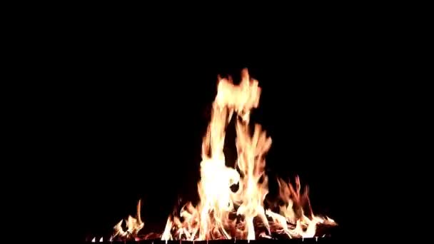 Яркое Пламя Открытого Огня Темноте Ночи — стоковое видео