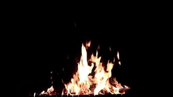 Bright Flame Open Fire Dark Night — Stock Video