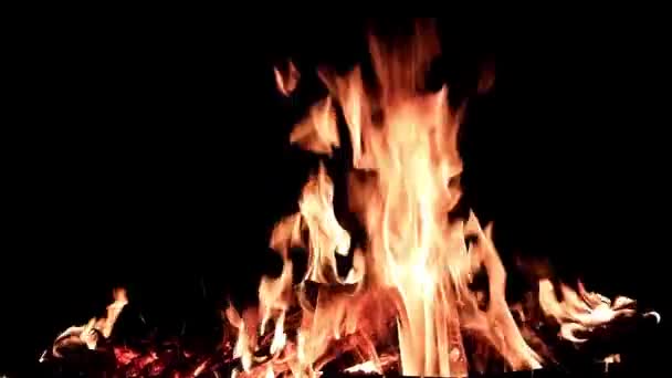 Jasný Plamen Otevřeného Ohně Temnotě Noci — Stock video