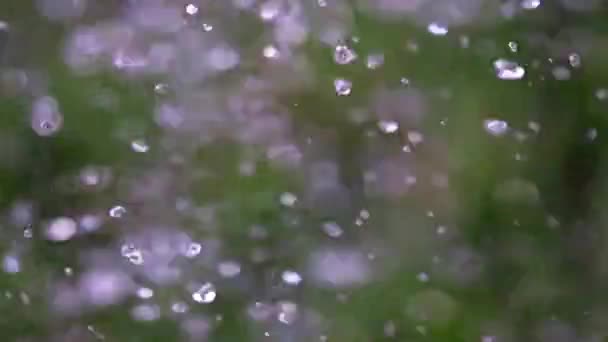 Drop Water Turbulent Flow Pure Liquid — Stock Video