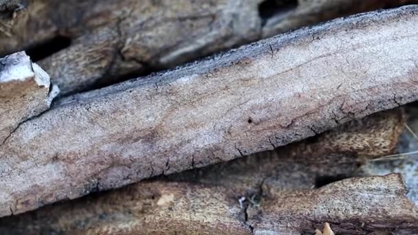Textur Oberfläche Der Alten Verbrannten Holzbalken — Stockvideo