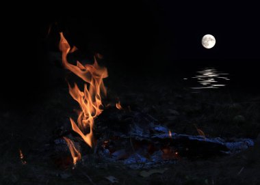 orman yangını ve dolunay ufuk yukarıda parlak Alevi