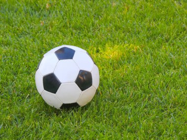 futbol topu çim yeşil çim üzerinde yalan