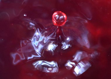 bir sıvı yüzeyine karşı Struck zarif su damlacığı şekli