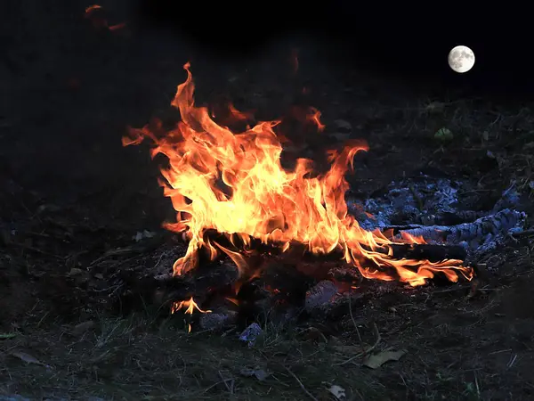 Chama Brilhante Incêndio Florestal Uma Lua Cheia Acima Horizonte — Fotografia de Stock