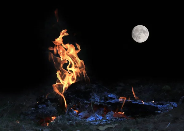Chama Brilhante Incêndio Florestal Uma Lua Cheia Acima Horizonte — Fotografia de Stock